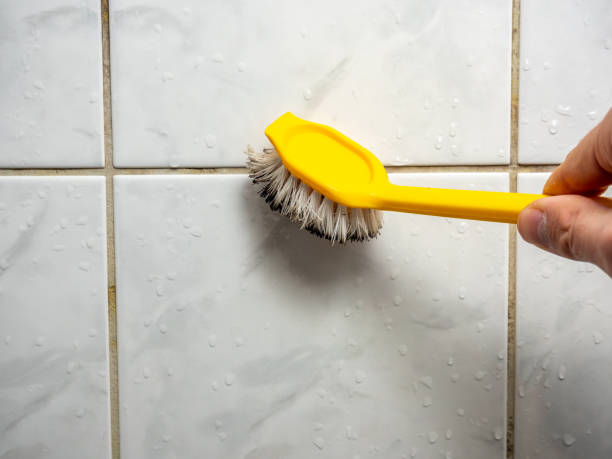 Best Attic Mold Removal  in Mobridge, SD