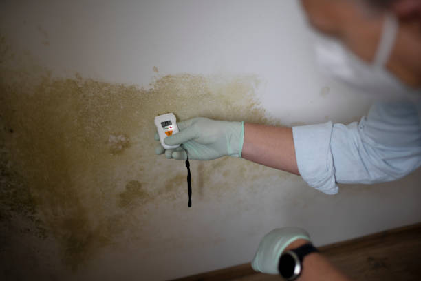 Best Mold Cleaning Services  in Mobridge, SD