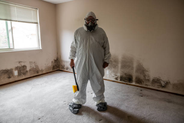 Best Certified Mold Removal  in Mobridge, SD