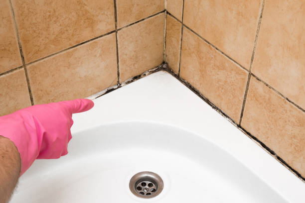 Best Commercial Mold Removal  in Mobridge, SD